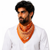 Gemini_Generated_Image_4i2tp54i2tp54i2t 100% Cotton Bandana